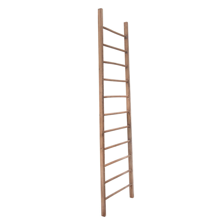 Birch Lane 6 ft Blanket Ladder Wayfair Canada